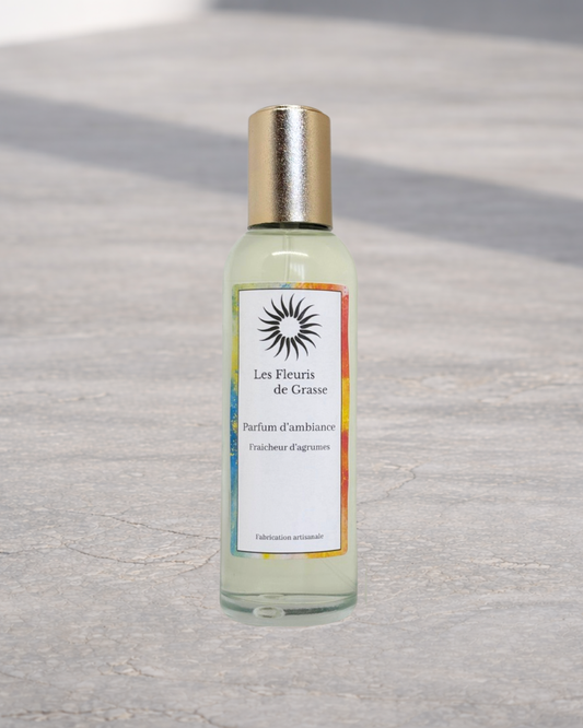 Vaporisateur d'Ambiance 100ml Fraicheur d'Agrumes