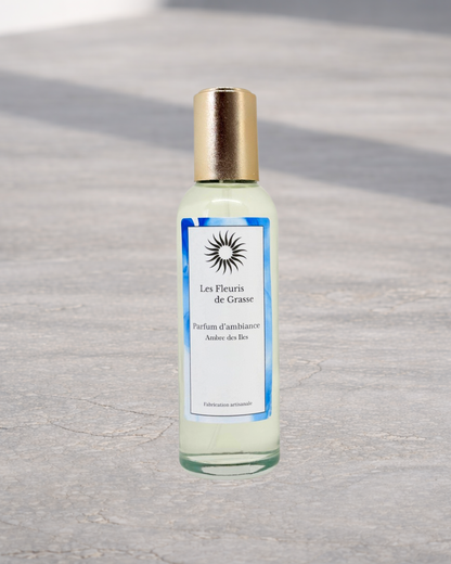 Vaporisateur d'Ambiance 100ml Ambre des Iles