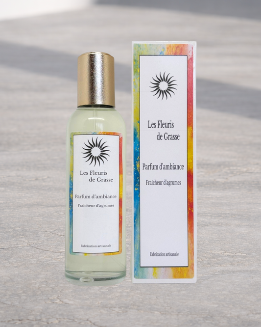 Vaporisateur d'Ambiance 100ml Fraicheur d'Agrumes